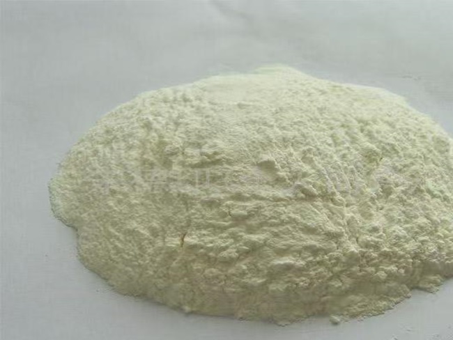 20250620095420.jpg