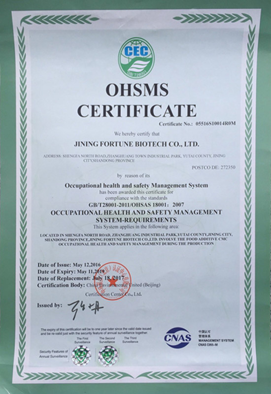 occupational health and safety management system iso18001