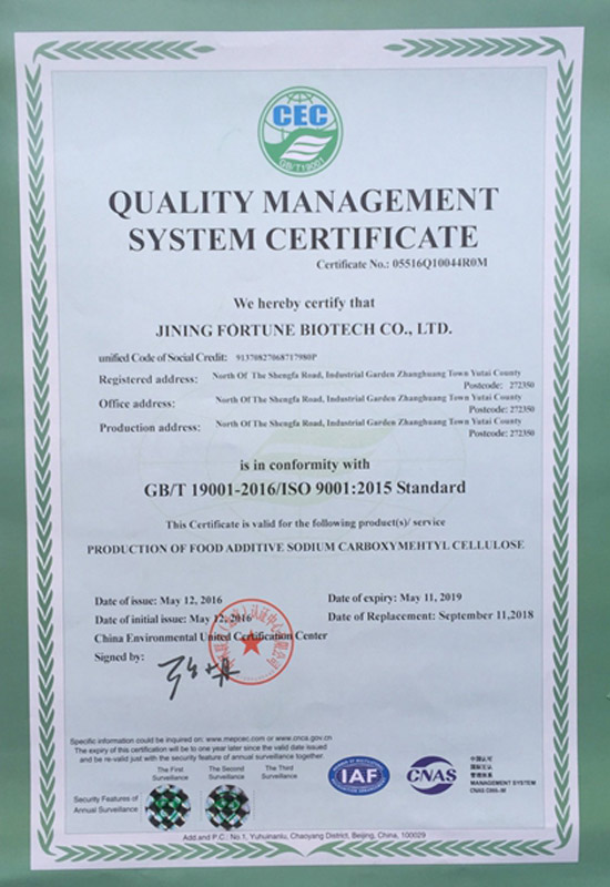 quality management system iso 9001