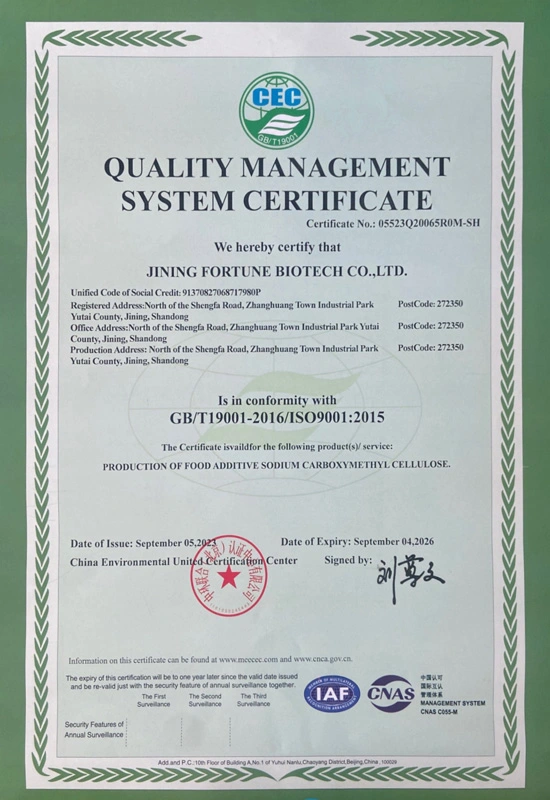 iso 9001